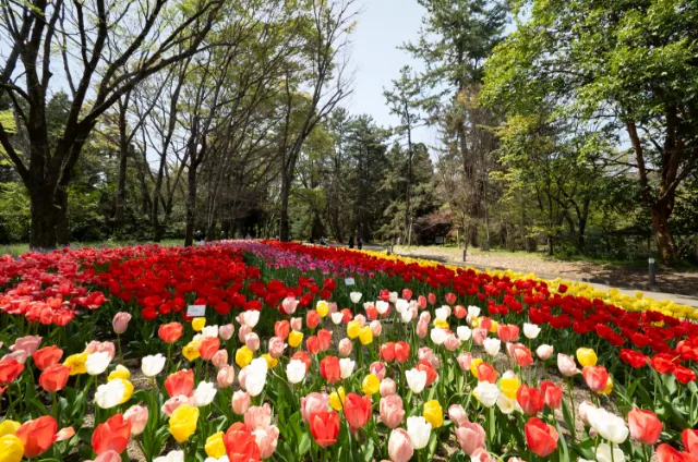 京都府立植物園（徒歩3分／約200m）