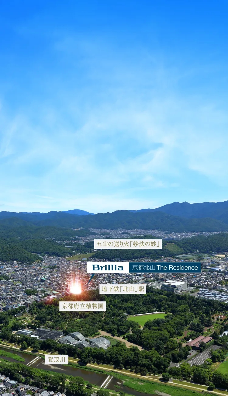 航空写真 ※1